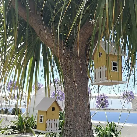 Casa Adayeim 1 Casa vacanze
